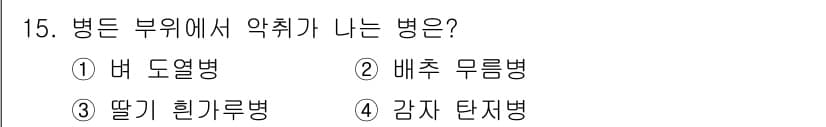 식물보호기사 2019년 15번 - 정답은 2번 배추 무름병입니다. 이 병은 주로 흙속의 병원균에 의해 발생... 에 관한 핵심 기출문제