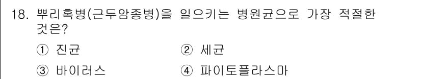 식물보호기사 2019년 18번 - 정답과 핵심 포인트를 검수 중인 기출문제