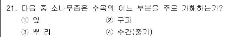 식물보호기사 2019년 21번 - 정답과 핵심 포인트를 검수 중인 기출문제