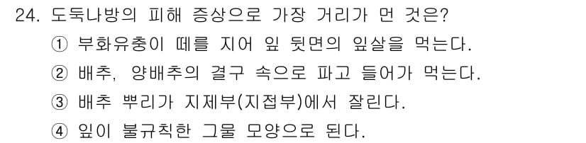 식물보호기사 2019년 24번 - 정답과 핵심 포인트를 검수 중인 기출문제