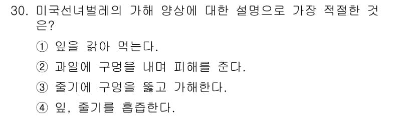 식물보호기사 2019년 30번 - 미국선녀벌레는 일반적으로 과일이나 잎을 흡즙하는 해충으로 알려져 있습니다... 에 관한 핵심 기출문제