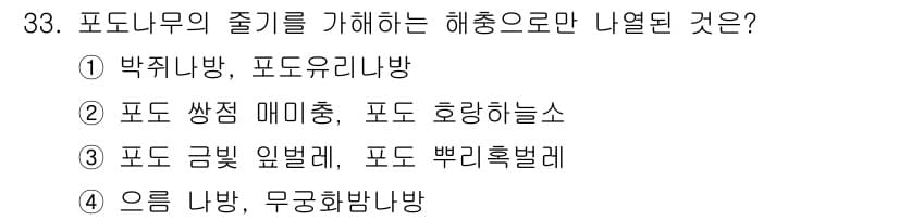 식물보호기사 2019년 33번 - 정답과 핵심 포인트를 검수 중인 기출문제