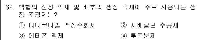 식물보호기사 2019년 62번 - 정답과 핵심 포인트를 검수 중인 기출문제