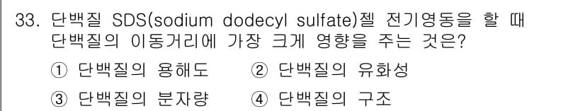식품산업기사(구) 2019년 33번 - 단백질 SDS 전기영동에서 단백질의 이동에 가장 큰 영향을 주는 것은 단... 에 관한 핵심 기출문제