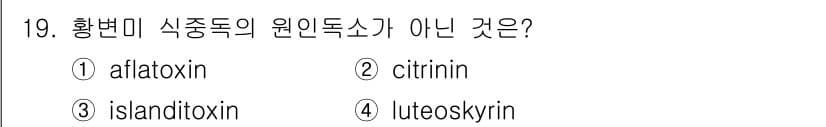 식품산업기사 2019년 19번 - 정답과 핵심 포인트를 검수 중인 기출문제