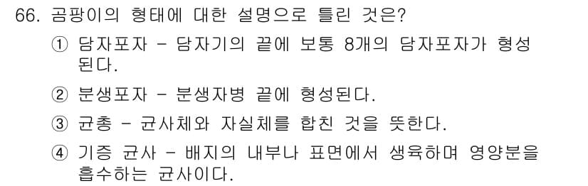 식품산업기사 2019년 66번 - . 

당소파자는 당자의 끝에 보통 8개의 당자포자가 형성되어 특유의 구... 에 관한 핵심 기출문제