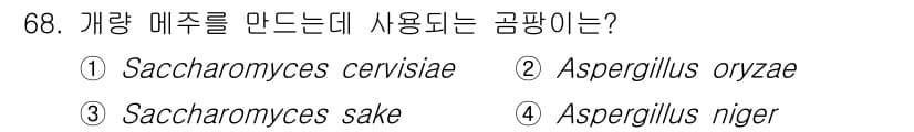 식품산업기사 2019년 68번 - 정답과 핵심 포인트를 검수 중인 기출문제