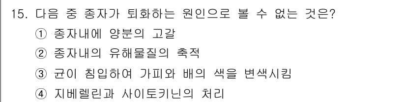 종자산업기사 2019년 15번 - 정답과 핵심 포인트를 검수 중인 기출문제