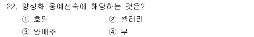 종자산업기사 2019년 22번 - 정답과 핵심 포인트를 검수 중인 기출문제