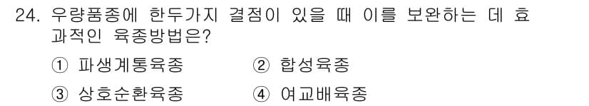 종자산업기사 2019년 24번 - 정답과 핵심 포인트를 검수 중인 기출문제