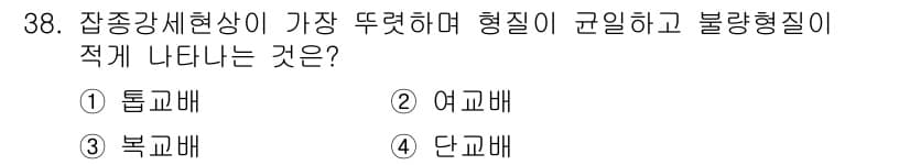 종자산업기사 2019년 38번 - 정답과 핵심 포인트를 검수 중인 기출문제