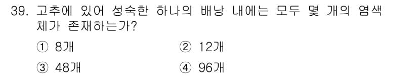 종자산업기사 2019년 39번 - 정답은 4번 96개이다. 고추는 성숙한 배낭 내에 12개의 염색체가 존재... 에 관한 핵심 기출문제
