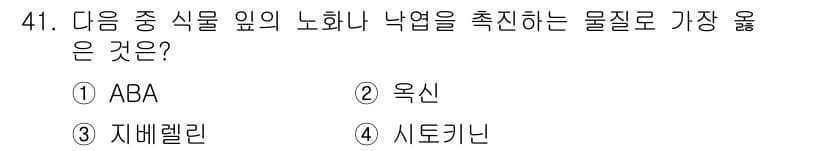 종자산업기사 2019년 41번 - . ABA  
ABA(아브시스산)는 식물에서 노화 및 낙엽을 촉진하는 호... 에 관한 핵심 기출문제