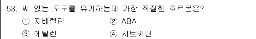 종자산업기사 2019년 53번 - 정답과 핵심 포인트를 검수 중인 기출문제