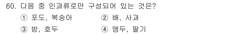 종자산업기사 2019년 60번 - 정답과 핵심 포인트를 검수 중인 기출문제
