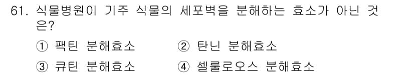 종자산업기사 2019년 61번 - 정답과 핵심 포인트를 검수 중인 기출문제