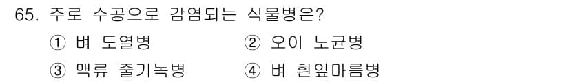 종자산업기사 2019년 65번 - 정답과 핵심 포인트를 검수 중인 기출문제