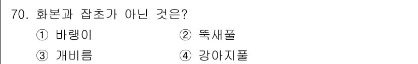 종자산업기사 2019년 70번 - 정답과 핵심 포인트를 검수 중인 기출문제