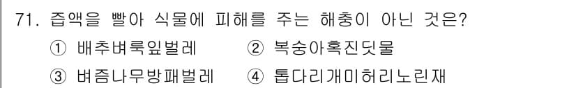 종자산업기사 2019년 71번 - 정답과 핵심 포인트를 검수 중인 기출문제