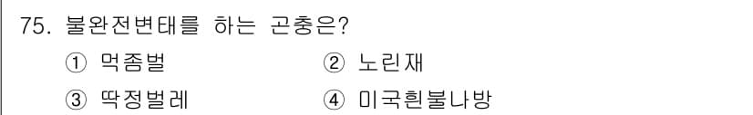 종자산업기사 2019년 75번 - 정답과 핵심 포인트를 검수 중인 기출문제