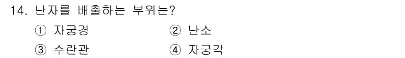 축산산업기사 2019년 14번 - 정답과 핵심 포인트를 검수 중인 기출문제