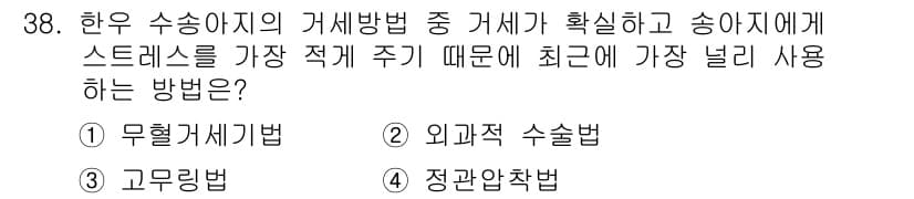 축산산업기사 2019년 38번 - 정답과 핵심 포인트를 검수 중인 기출문제