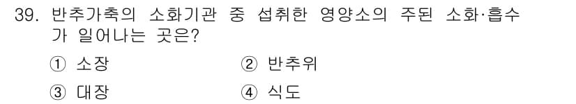 축산산업기사 2019년 39번 - 소화 효소는 주로 소장과 대장에서 분비되며, 반추위에서는 주로 미생물에 ... 에 관한 핵심 기출문제