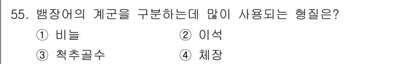 해양조사산업기사 2017년 55번 - 정답과 핵심 포인트를 검수 중인 기출문제