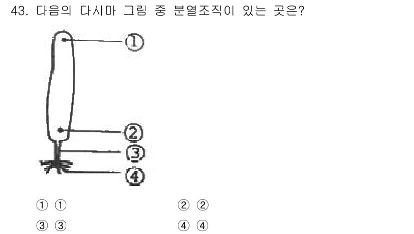 해양조사산업기사 2018년 43번 - 정답과 핵심 포인트를 검수 중인 기출문제