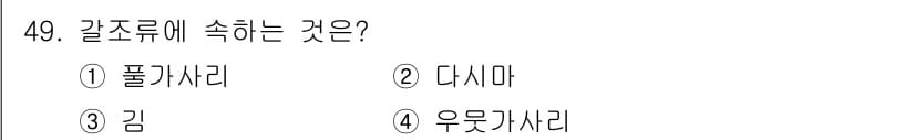 해양조사산업기사 2018년 49번 - 정답과 핵심 포인트를 검수 중인 기출문제