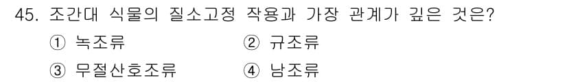 해양조사산업기사 2019년 45번 - 정답과 핵심 포인트를 검수 중인 기출문제