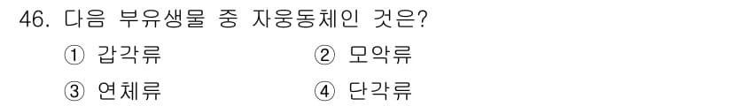 해양조사산업기사 2019년 46번 - 정답과 핵심 포인트를 검수 중인 기출문제