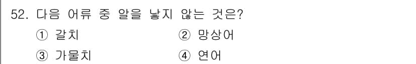 해양조사산업기사 2019년 52번 - 정답과 핵심 포인트를 검수 중인 기출문제