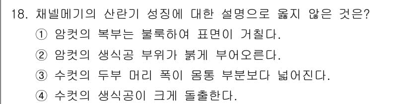 수산양식기사 2019년 18번 - 정답과 핵심 포인트를 검수 중인 기출문제