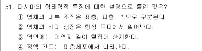 수산양식기사 2019년 51번 - 다시마의 형태학적 특징은 주로 형태와 구조를 설명합니다. ③번은 잎면의 ... 에 관한 핵심 기출문제