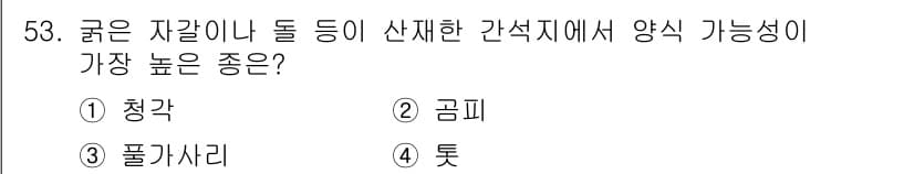 수산양식기사 2019년 53번 - 정답과 핵심 포인트를 검수 중인 기출문제