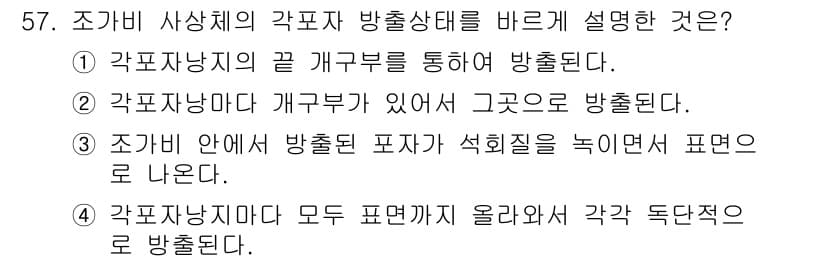 수산양식기사 2019년 57번 - 정답과 핵심 포인트를 검수 중인 기출문제