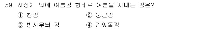 수산양식기사 2019년 59번 - 정답과 핵심 포인트를 검수 중인 기출문제