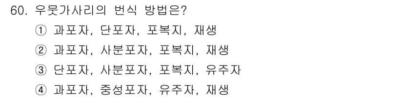 수산양식기사 2019년 60번 - 정답과 핵심 포인트를 검수 중인 기출문제