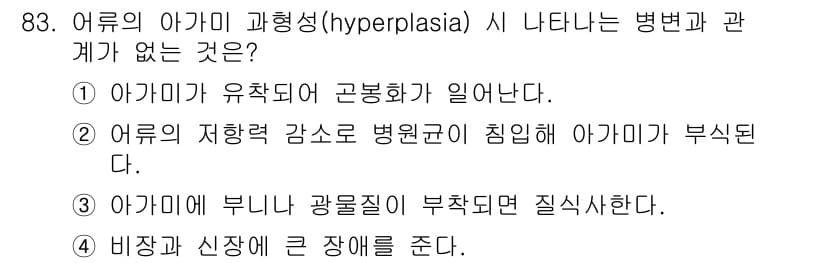 수산양식기사 2019년 83번 - . 아귀에 부니나 광물질이 부족하면 질식한다.

해설: 아귀에 부니와 광... 에 관한 핵심 기출문제
