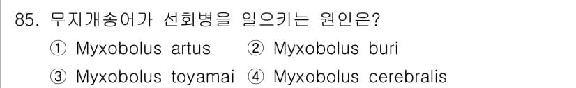 수산양식기사 2019년 85번 - 정답과 핵심 포인트를 검수 중인 기출문제