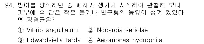 수산양식기사 2019년 94번 - 정답은 2번 Nocardia seriolae이다. Nocardia는 해양... 에 관한 핵심 기출문제