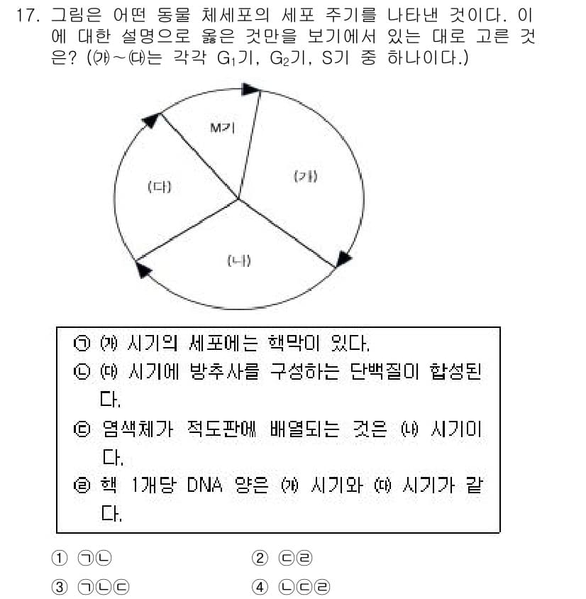 경찰공무원(순경)_과학 2017년 17번 - 주어진 질문은 세포 주기와 관련된 설명입니다. (가)와 (나)는 세포 주... 에 관한 핵심 기출문제