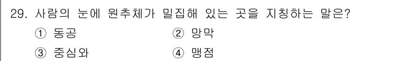 시각디자인기사 2017년 29번 - 정답과 핵심 포인트를 검수 중인 기출문제