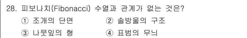 시각디자인기사 2019년 28번 - 정답과 핵심 포인트를 검수 중인 기출문제