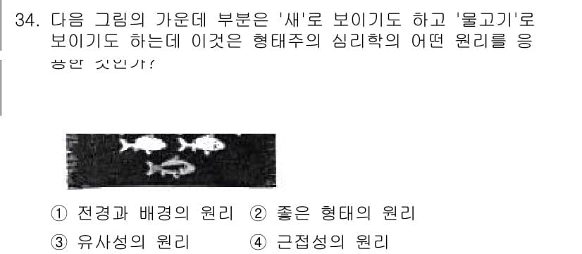 시각디자인기사 2019년 34번 - 정답과 핵심 포인트를 검수 중인 기출문제