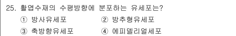 임산가공기사 2016년 25번 - 정답과 핵심 포인트를 검수 중인 기출문제
