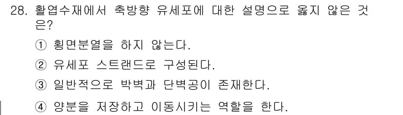 임산가공기사 2018년 28번 - . 

흐름수재는 축 방향 유세포를 가지지 않아, 유세포가 설치된 방향으... 에 관한 핵심 기출문제