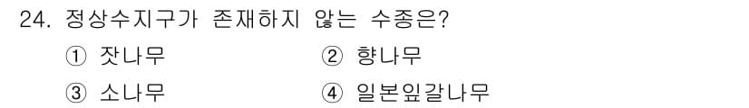 임산가공기사 2019년 24번 - 정답은 2. 향나무입니다. 향나무는 일반적으로 정상이 아닌 특수한 개발 ... 에 관한 핵심 기출문제