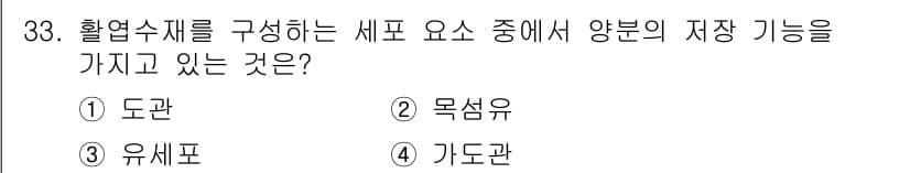 임산가공기사 2019년 33번 - 정답과 핵심 포인트를 검수 중인 기출문제
